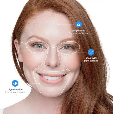 face mapping skin analysis